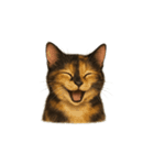 サビ猫（Sabineko）（個別スタンプ：1）
