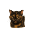 サビ猫（Sabineko）（個別スタンプ：2）