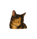 サビ猫（Sabineko）（個別スタンプ：3）