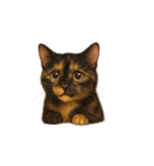 サビ猫（Sabineko）（個別スタンプ：4）