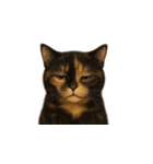 サビ猫（Sabineko）（個別スタンプ：5）