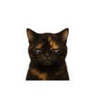 サビ猫（Sabineko）（個別スタンプ：8）