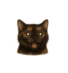 サビ猫（Sabineko）（個別スタンプ：9）