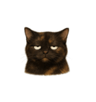 サビ猫（Sabineko）（個別スタンプ：10）
