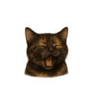 サビ猫（Sabineko）（個別スタンプ：11）