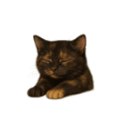 サビ猫（Sabineko）（個別スタンプ：12）