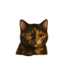 サビ猫（Sabineko）（個別スタンプ：13）
