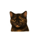 サビ猫（Sabineko）（個別スタンプ：14）
