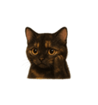 サビ猫（Sabineko）（個別スタンプ：16）