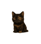 サビ猫（Sabineko）（個別スタンプ：20）