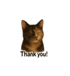 サビ猫（Sabineko）（個別スタンプ：23）