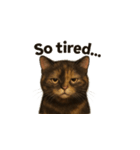 サビ猫（Sabineko）（個別スタンプ：25）
