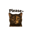 サビ猫（Sabineko）（個別スタンプ：27）