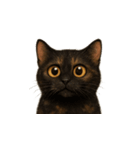 サビ猫（Sabineko）（個別スタンプ：29）