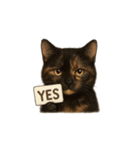 サビ猫（Sabineko）（個別スタンプ：33）