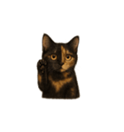 サビ猫（Sabineko）（個別スタンプ：37）