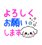 デカ文字・毎日使えるマルチーズ（個別スタンプ：3）