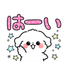 デカ文字・毎日使えるマルチーズ（個別スタンプ：8）