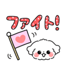 デカ文字・毎日使えるマルチーズ（個別スタンプ：20）