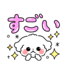 デカ文字・毎日使えるマルチーズ（個別スタンプ：21）