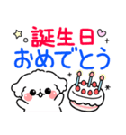 デカ文字・毎日使えるマルチーズ（個別スタンプ：23）
