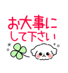 デカ文字・毎日使えるマルチーズ（個別スタンプ：28）
