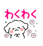 デカ文字・毎日使えるマルチーズ（個別スタンプ：35）