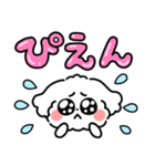 デカ文字・毎日使えるマルチーズ（個別スタンプ：37）