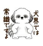 B＆W シーズー犬 2025 「リアクション2」（個別スタンプ：4）