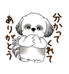 B＆W シーズー犬 2025 「リアクション2」（個別スタンプ：8）