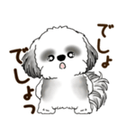 B＆W シーズー犬 2025 「リアクション2」（個別スタンプ：11）