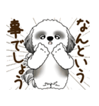 B＆W シーズー犬 2025 「リアクション2」（個別スタンプ：14）