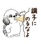 B＆W シーズー犬 2025 「リアクション2」（個別スタンプ：15）