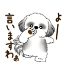 B＆W シーズー犬 2025 「リアクション2」（個別スタンプ：16）