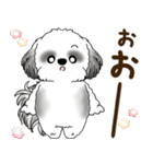 B＆W シーズー犬 2025 「リアクション2」（個別スタンプ：18）
