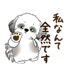 B＆W シーズー犬 2025 「リアクション2」（個別スタンプ：19）
