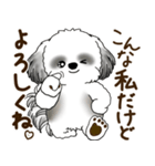 B＆W シーズー犬 2025 「リアクション2」（個別スタンプ：21）
