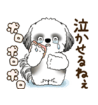 B＆W シーズー犬 2025 「リアクション2」（個別スタンプ：22）