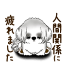 B＆W シーズー犬 2025 「リアクション2」（個別スタンプ：24）