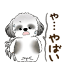B＆W シーズー犬 2025 「リアクション2」（個別スタンプ：26）