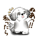 B＆W シーズー犬 2025 「リアクション2」（個別スタンプ：29）