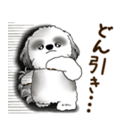 B＆W シーズー犬 2025 「リアクション2」（個別スタンプ：31）