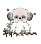 B＆W シーズー犬 2025 「リアクション2」（個別スタンプ：35）
