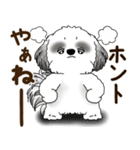 B＆W シーズー犬 2025 「リアクション2」（個別スタンプ：36）
