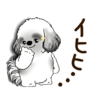 B＆W シーズー犬 2025 「リアクション2」（個別スタンプ：38）
