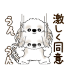 シーズー犬 2025 「リアクション2」（個別スタンプ：3）
