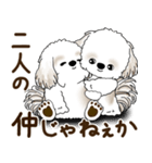 シーズー犬 2025 「リアクション2」（個別スタンプ：6）