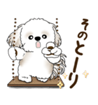 シーズー犬 2025 「リアクション2」（個別スタンプ：7）