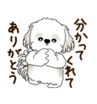 シーズー犬 2025 「リアクション2」（個別スタンプ：8）