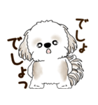 シーズー犬 2025 「リアクション2」（個別スタンプ：11）